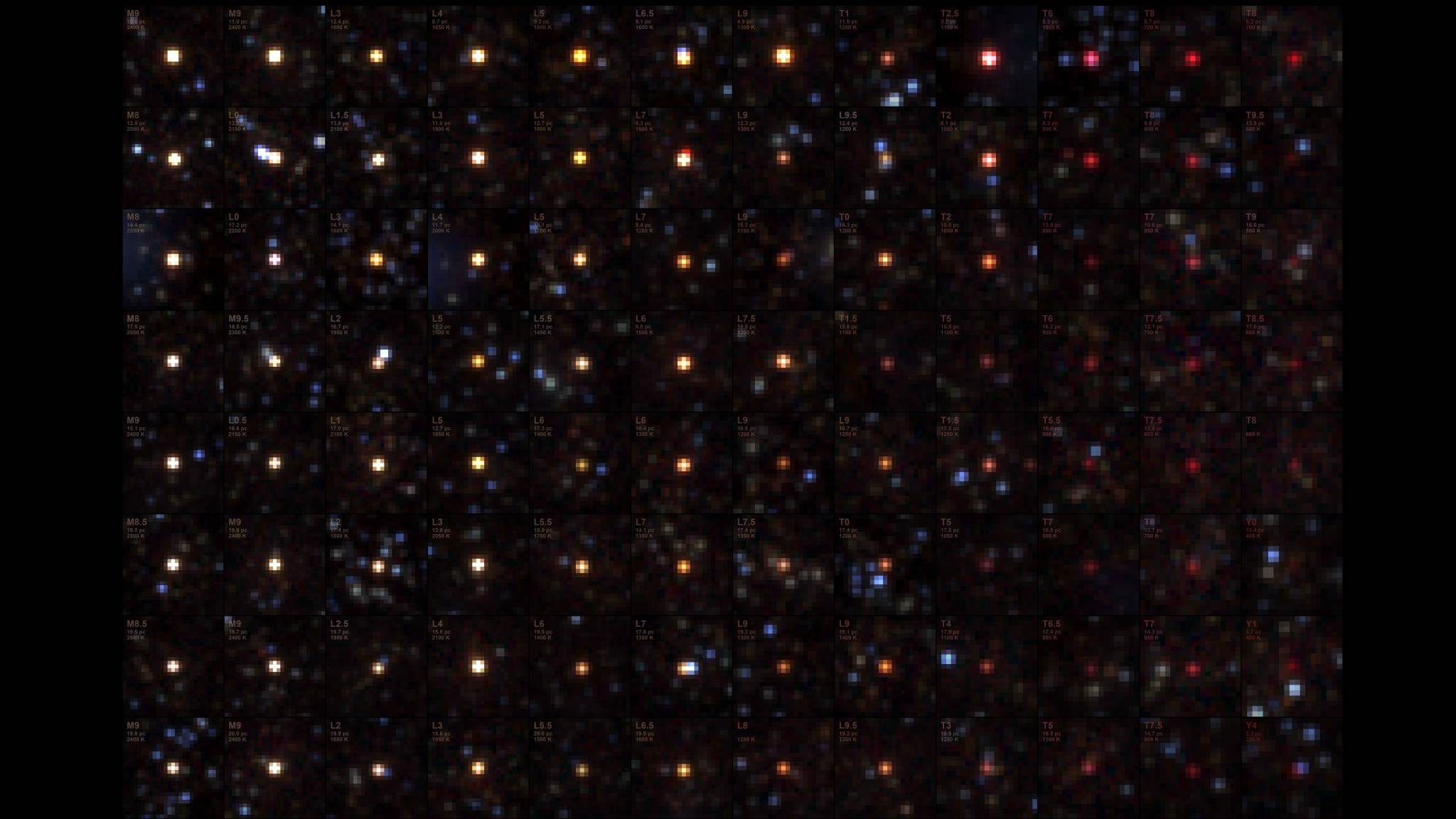 NASA’s SPHEREx Telescope Sees Menagerie of Brown Dwarfs