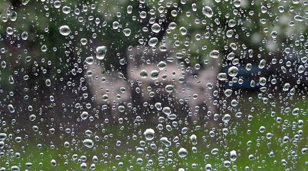 Person caught in downpour while cutting the grass among complaints to Met Éireann