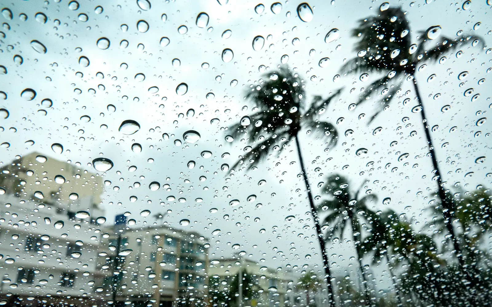 Hurricane Isaias strengthens as US Gulf Coast prepares for landfall