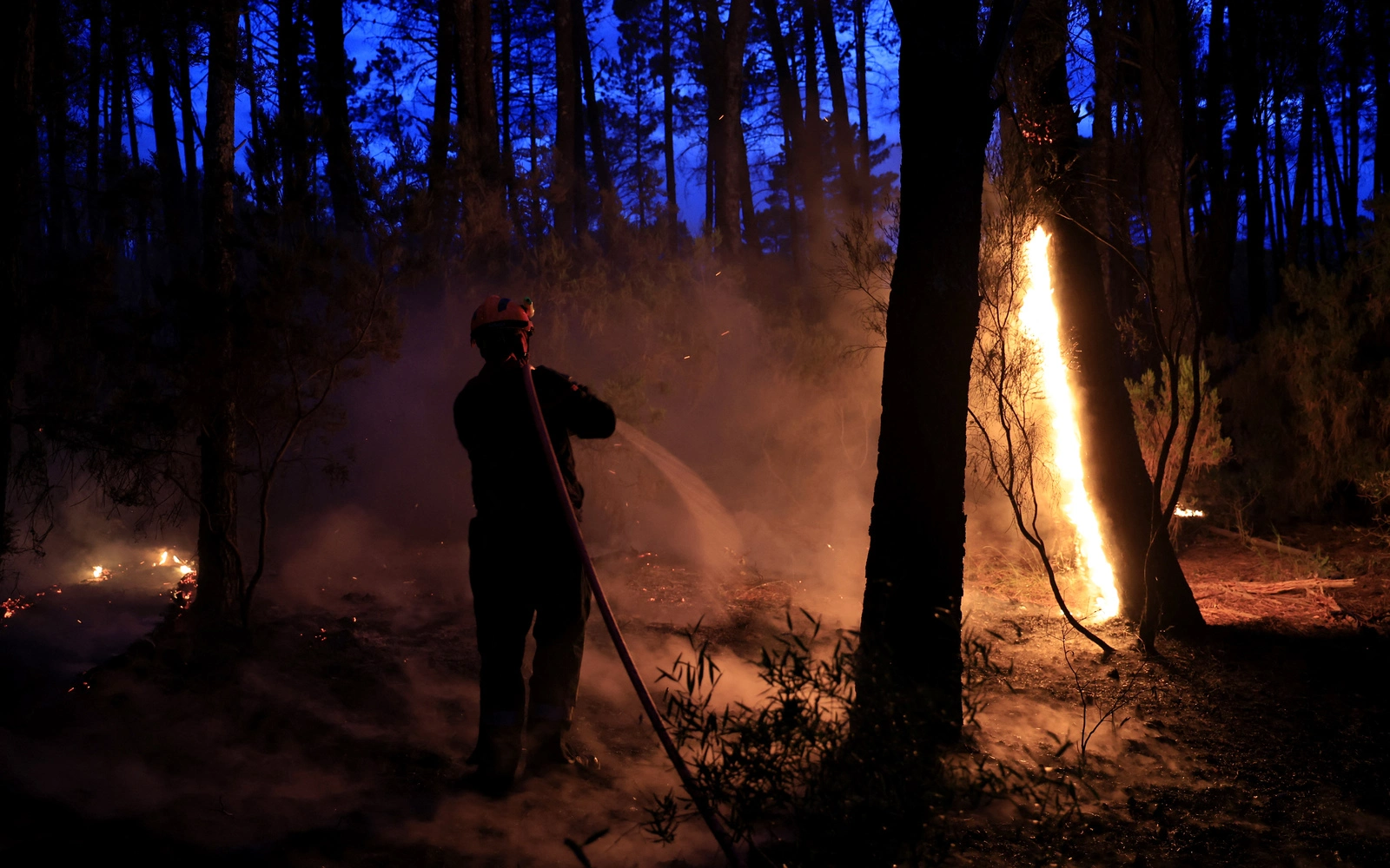 Belgian wildfire prompts evacuation call in German border town