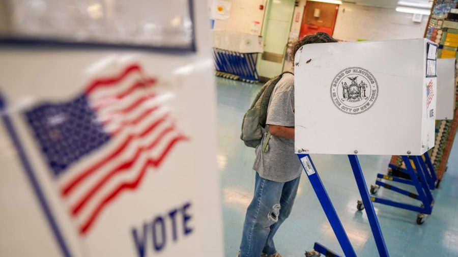 DSA is Democrat base, co-chair says