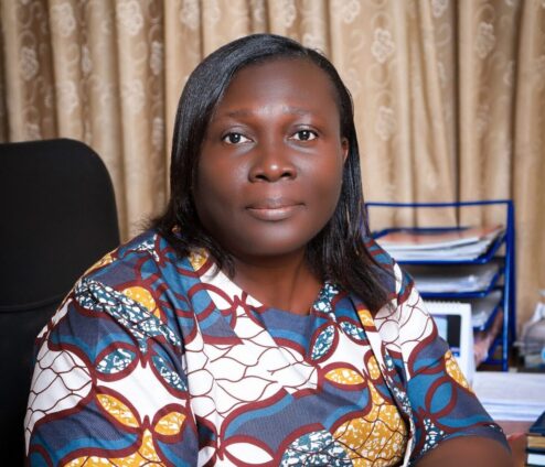 Yellow fever response too slow – SEND Ghana tells gov’t