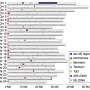 Repetitive genomic regions link structural genomic variation to species diversity