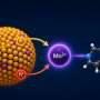 Magnetic dopants help quantum dots use light for chemical reactions