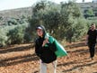 The IDF must allow activists to accompany West Bank olive harvests