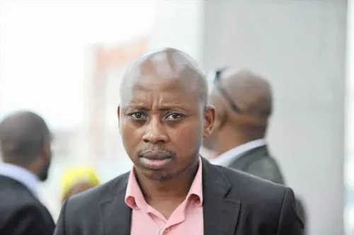 Court rules Mbalula unlawfully removed Lungisa from ANC election list