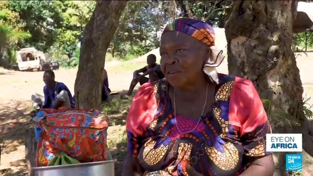 Ebola outbreak: Border surveillance gaps raise concerns in the Central African Republic