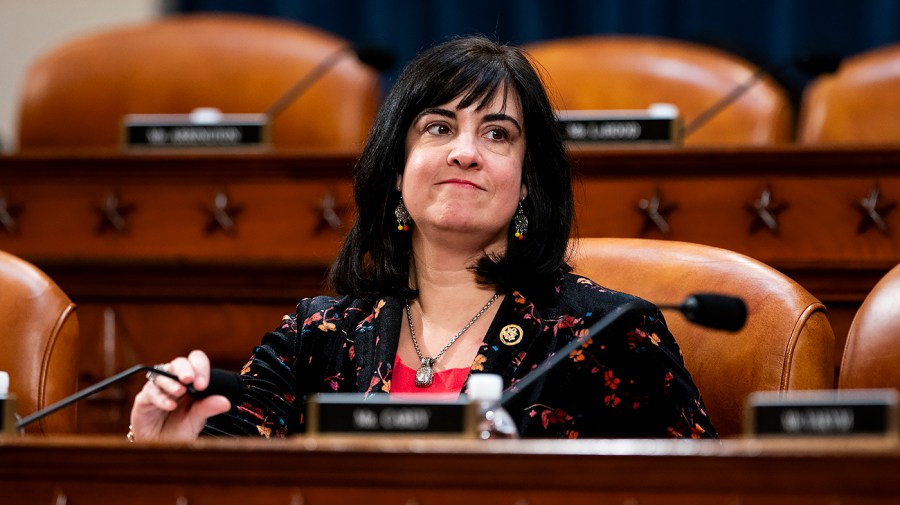 New York Republican says DSA candidates will make up 'commie caucus' if elected to Congress