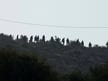 Israeli settlers attack Palestinian olive harvesters across West Bank, reports say
