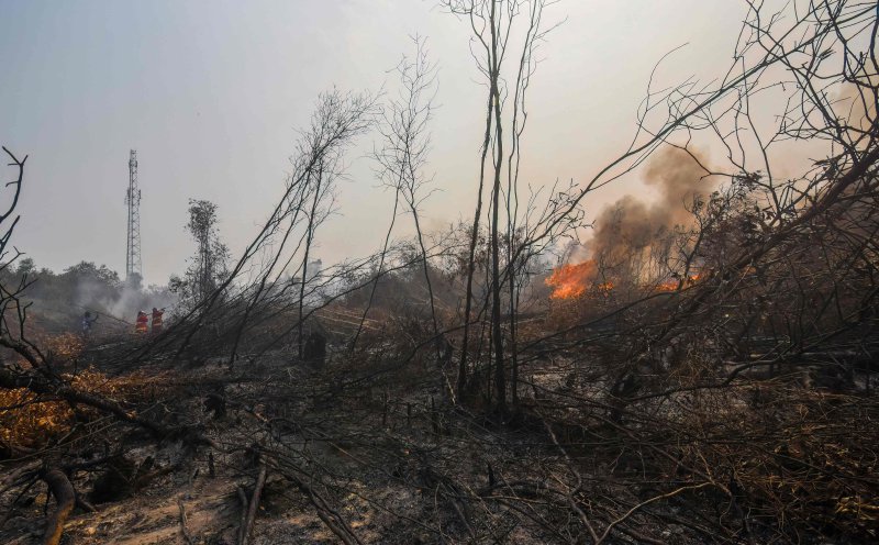Plantations Ministry to study cooperation with Indonesia to prevent Kalimantan fires