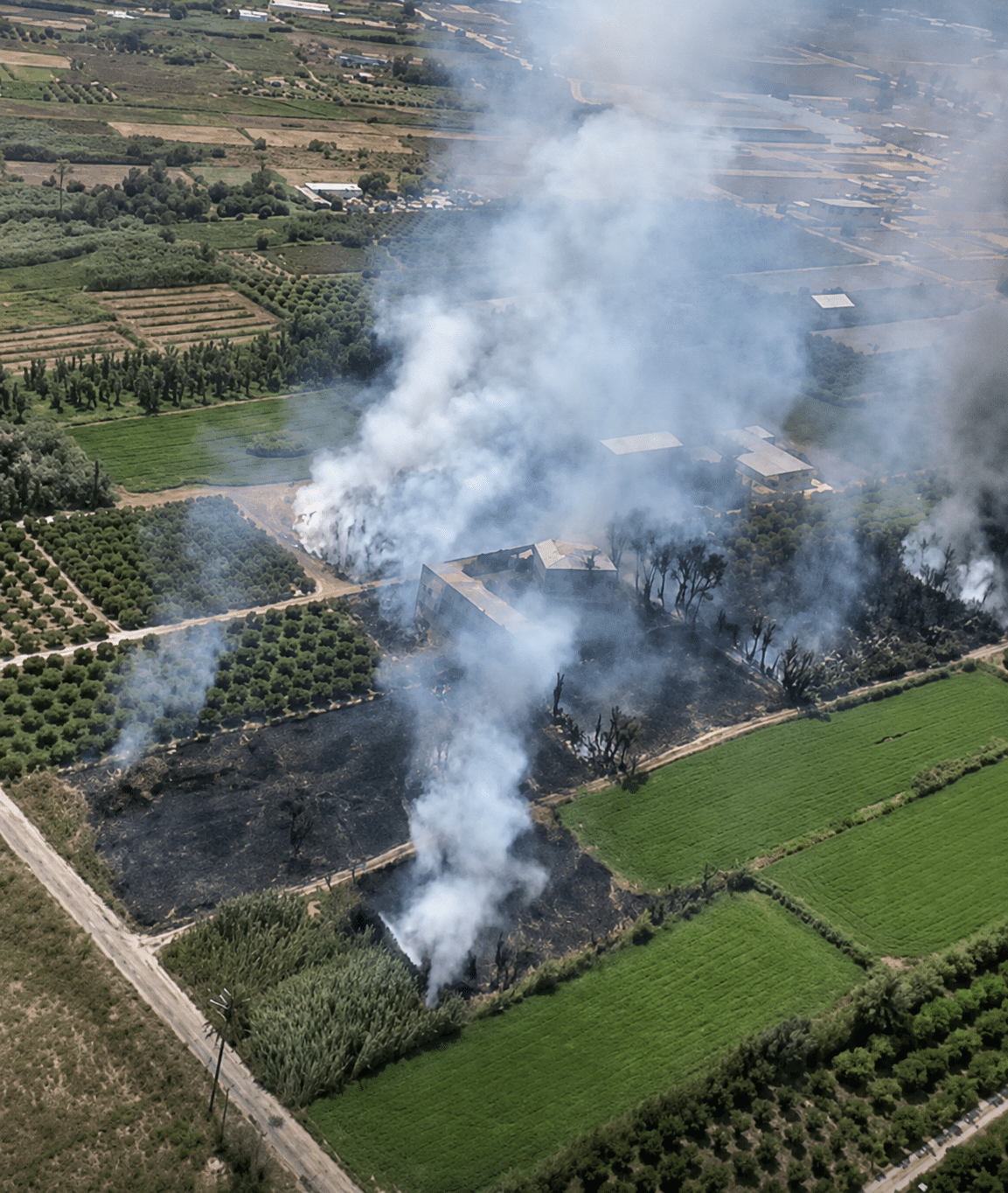 Serial Arsonist Fears as Fifth Fire Erupts Near Albatera in Three Months