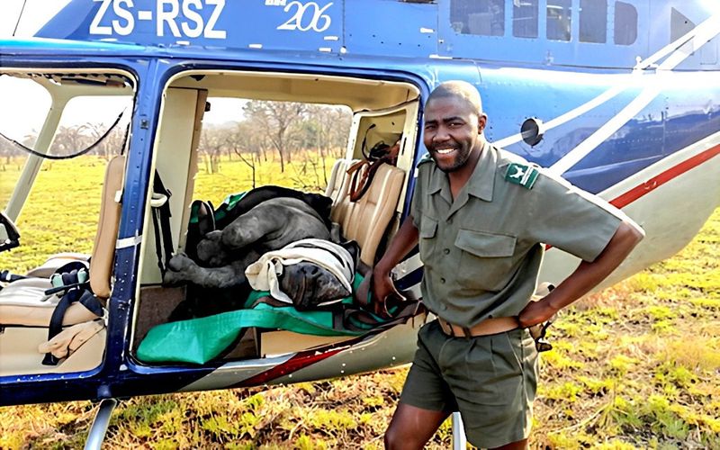 Former ‘crown prince of the Kruger’ Park found guilty of rhino poaching