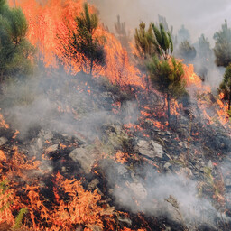 Estonian firefighters facing tough conditions battling Sardinia wildfires