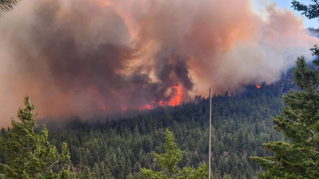 B.C. offering free N95 masks for B.C. Interior as wildfire smoke persists