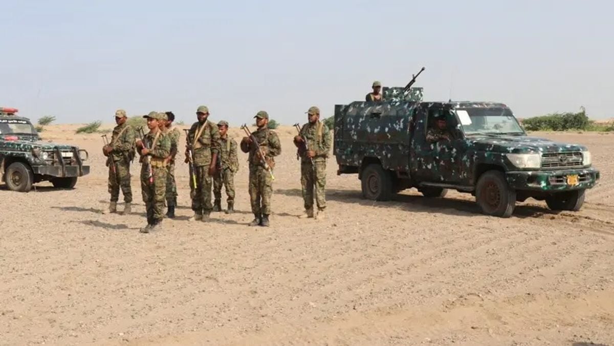 Yemeni forces target Houthi positions in Taiz, launch 181 operations in 24 hours