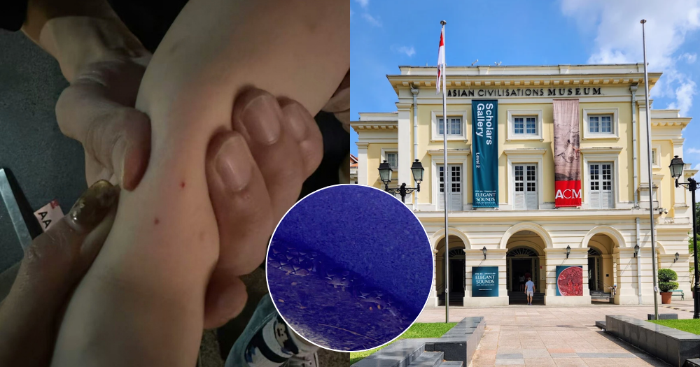 Toddler travelling from China bitten by snake outside Asian Civilisations Museum