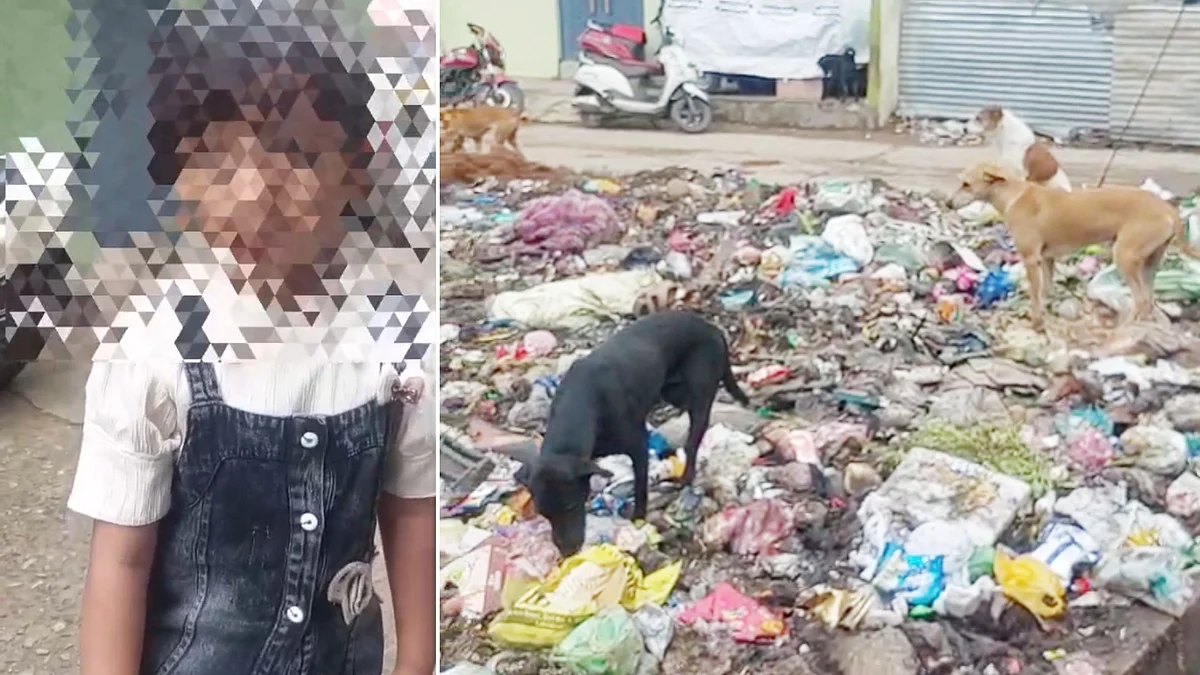 Bhopal Stray Dog Menace Worsens, 70–80 People Reportedly Bitten Daily; High Court To Hear Case This Week