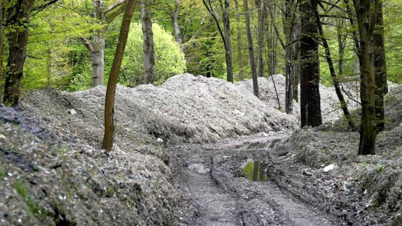 39,500 tonnes of illegal waste cleared from Kent wood in 2,500 lorry loads