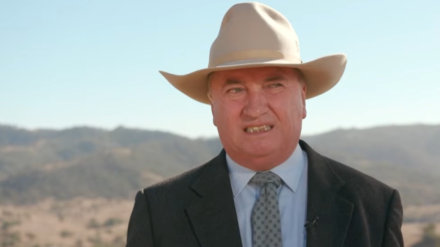 'Brokeback' Barnaby knows One Nation needs the pink vote