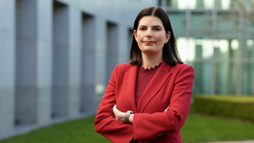 Labor senator seeks postpartum inquiry after 'excruciating' experience