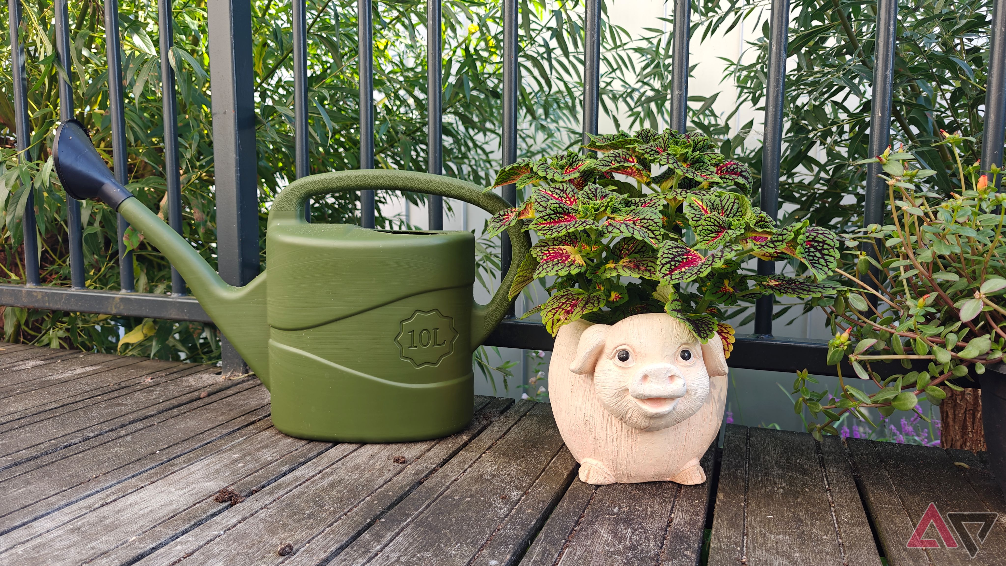 I gave my house a brain instead of another smart bulb; my plants stopped dying
