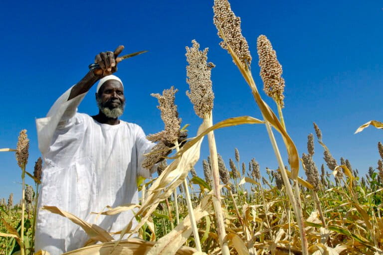 Global hunger levels fall but Africa still lags behind, UN report finds