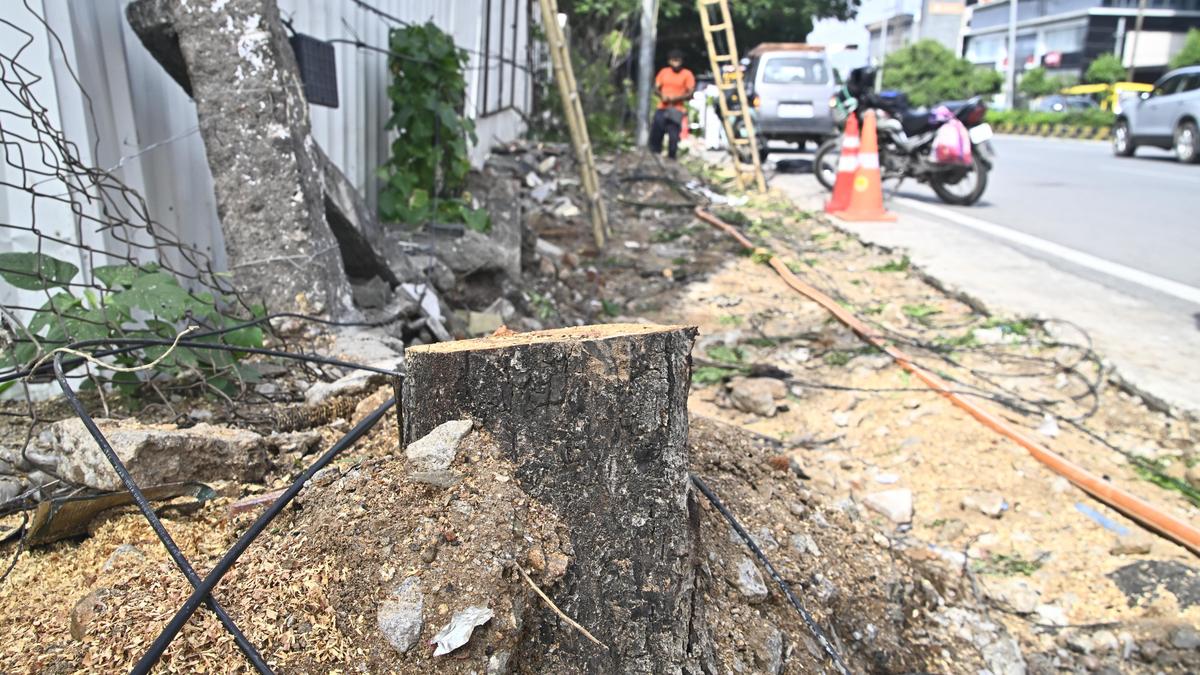 Trees felled on Kaifi Azmi road in Banjara Hills for H-CITI project