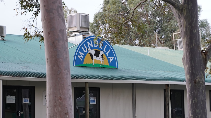 Director faces investigations following Mundella collapse