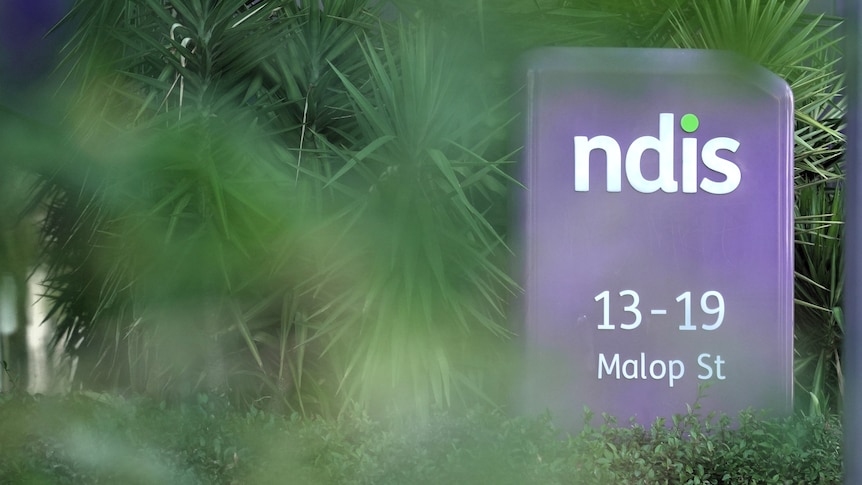 Live: Record number of 'shonks' banned from NDIS