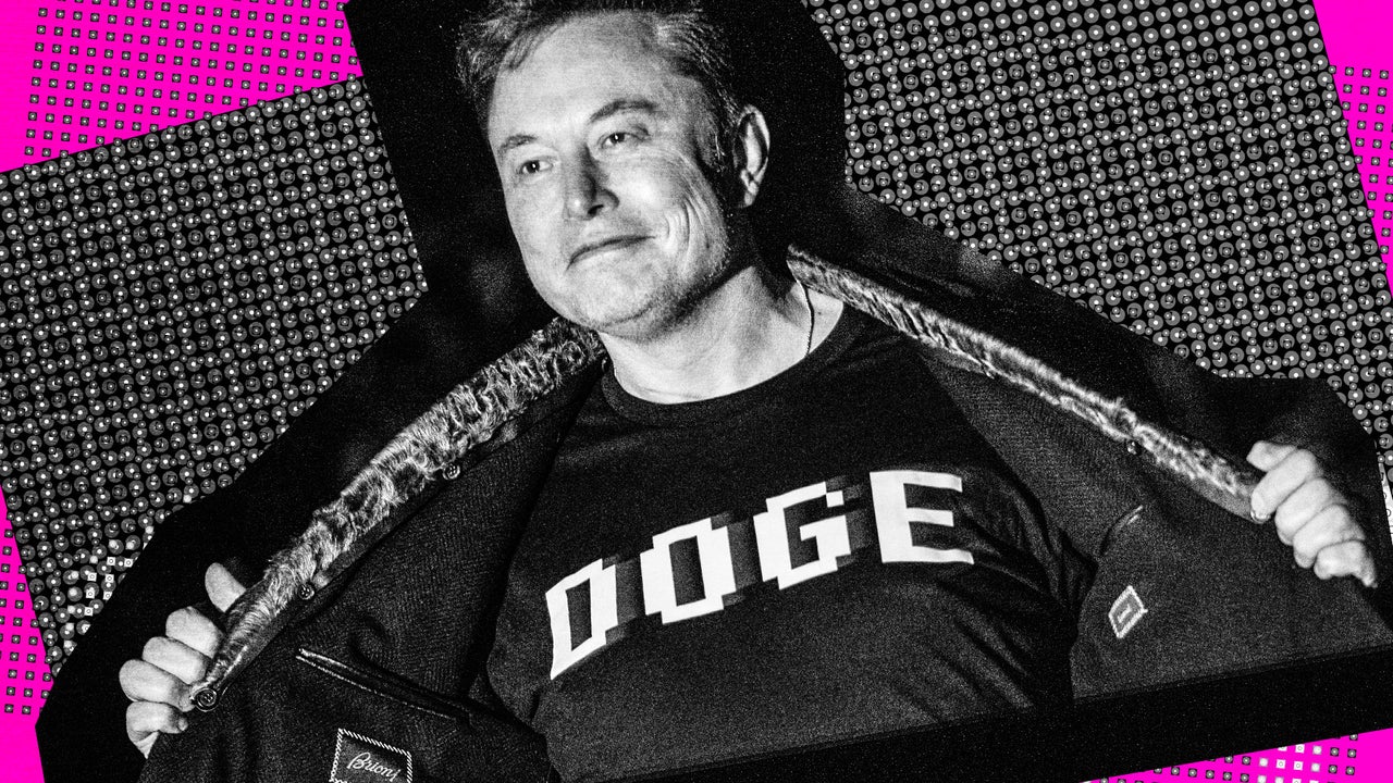 Where are Elon Musk’s former DOGE staffers now?