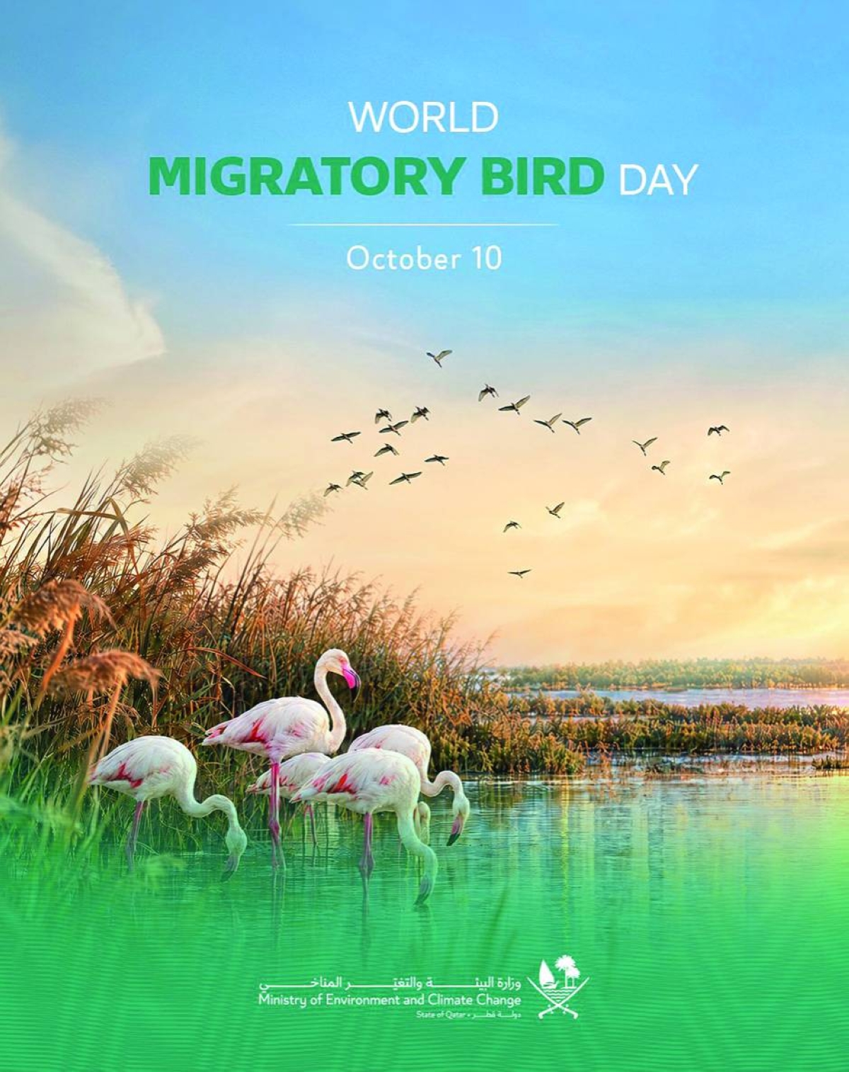 MoECC marks World Migratory Bird Day
