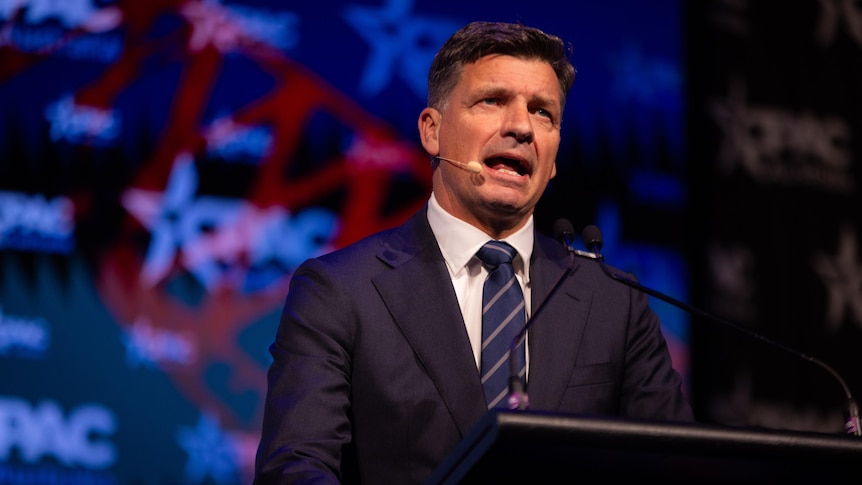 Inside the conservative conference where Angus Taylor comes second to Pauline Hanson