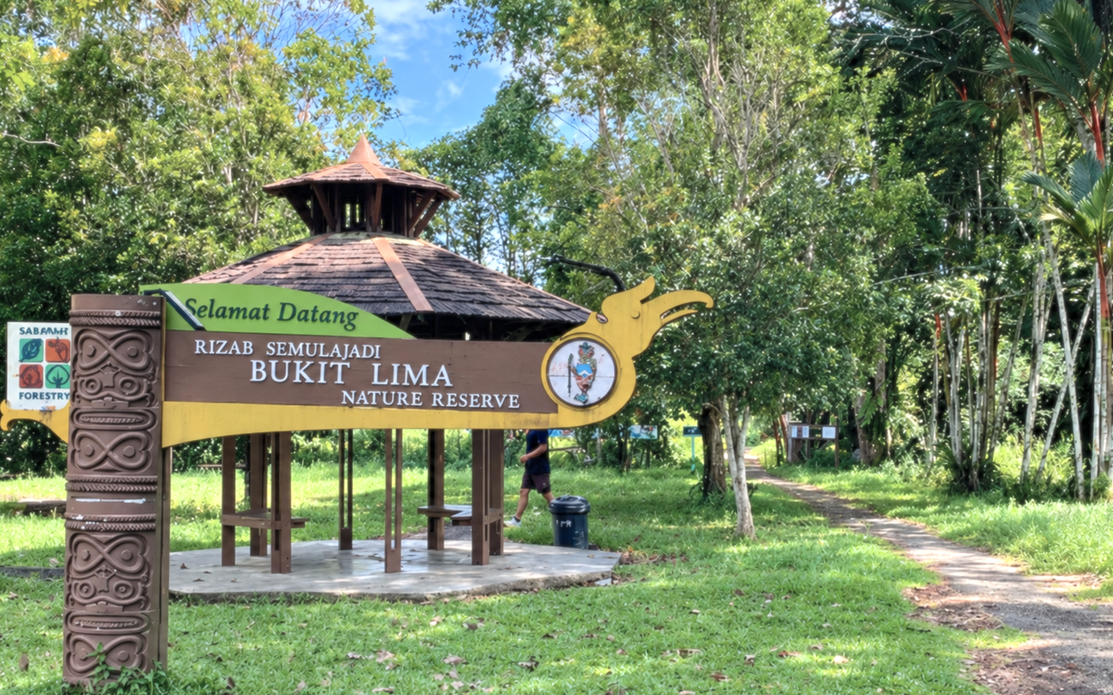 A walk through Sibu’s precious peat swamp forest