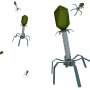 Scientists have designed a functioning virus from scratch using AI. What you need to know