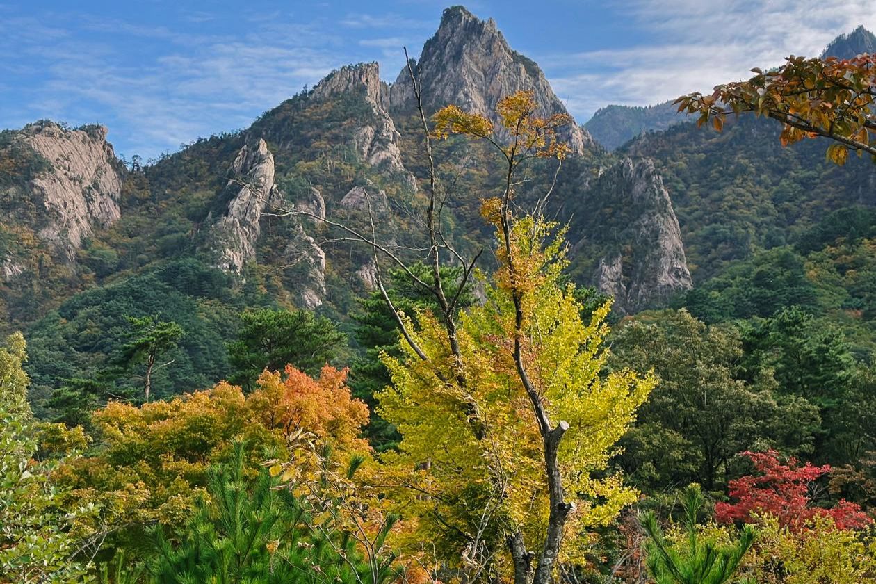 Autumn Korea is peak Korea