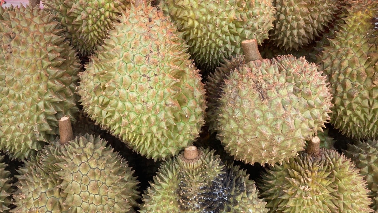 Could Thai durian export duty mean higher prices, higher quality in China?