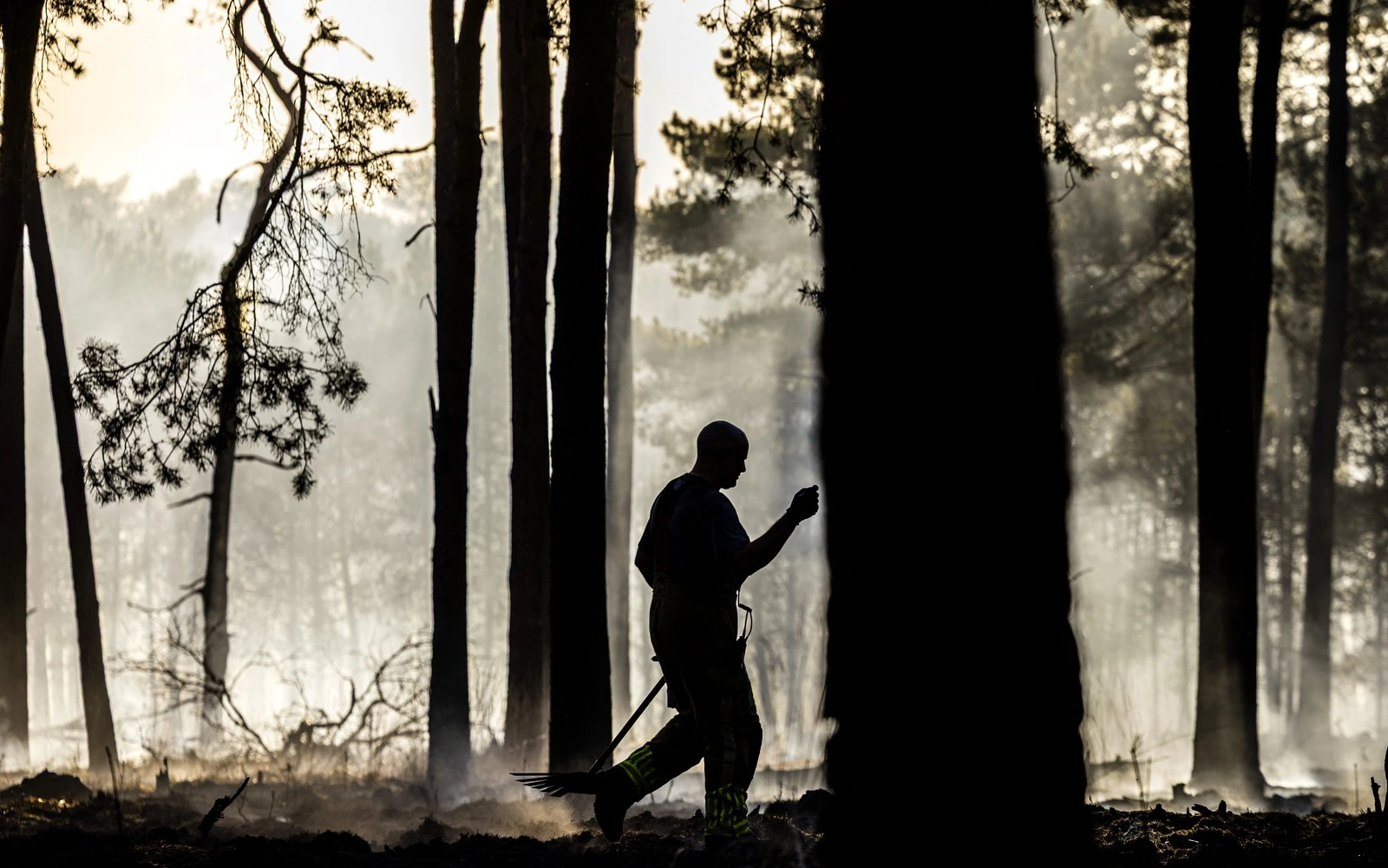 Forest fire spreads in Dutch nature reserve for second day