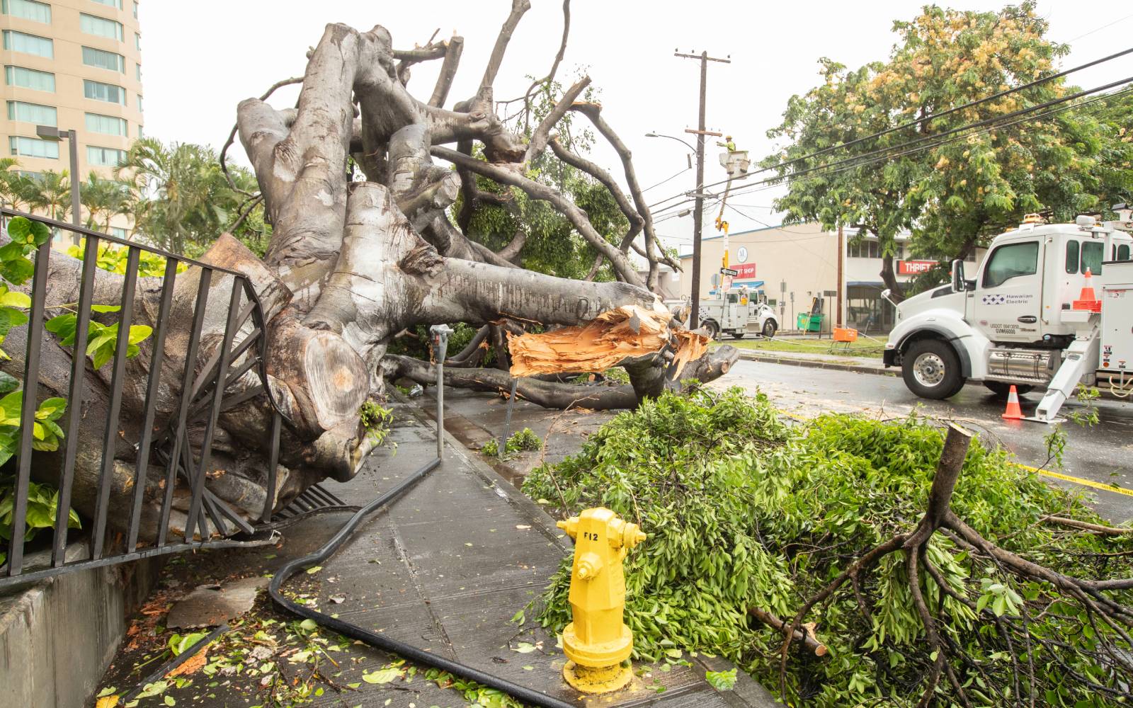 Hawaii’s Big Island begins recovery efforts as Hurricane Lala downgrades