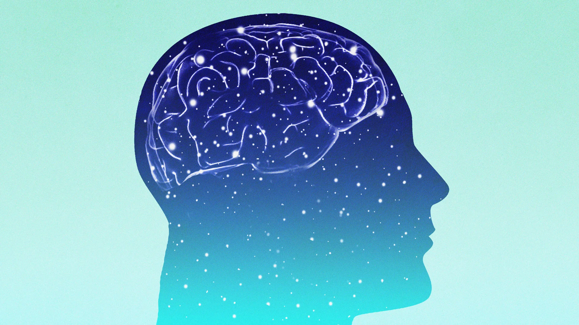 Your Brain Has Its Own Cleaning System That Helps Prevent Alzheimer’s. Science Is Learning How to Repair It