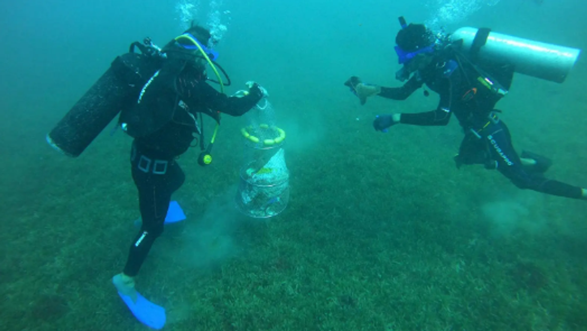 Border Guard launches volunteer seabed cleanup in Tabuk