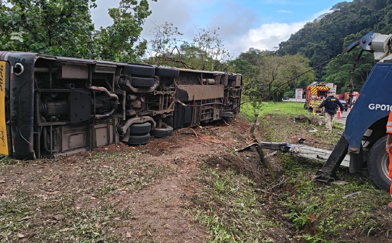 Bus accident kills at least eight in Brazil