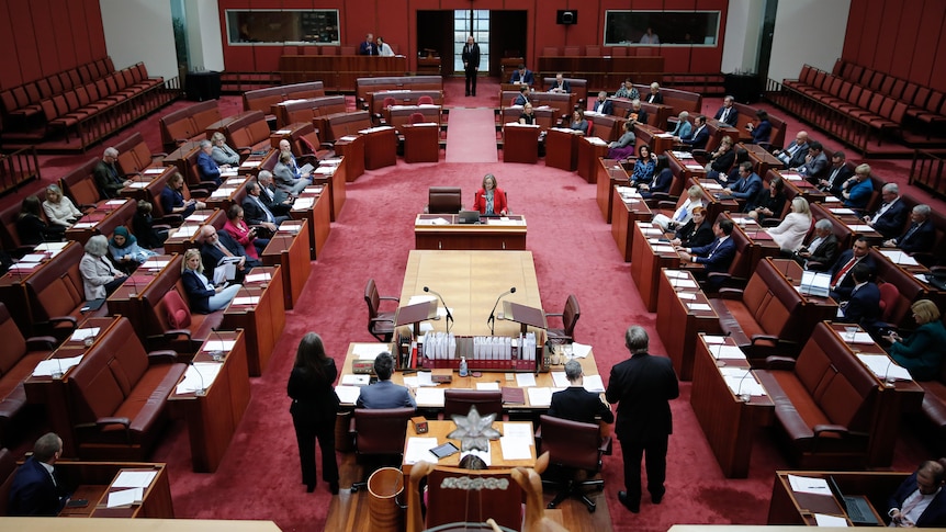 Greens push for right to sue big tech as Labor axes ministerial powers
