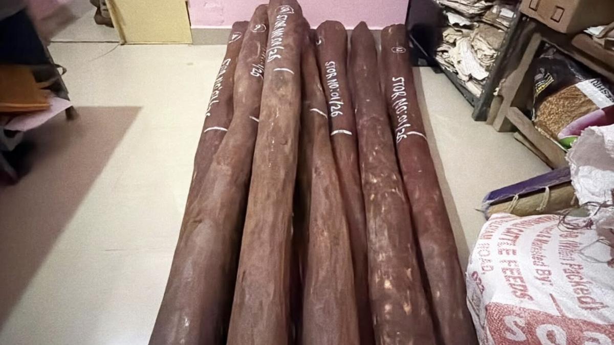 450 kg of red sanders seized in Vellore; six persons held