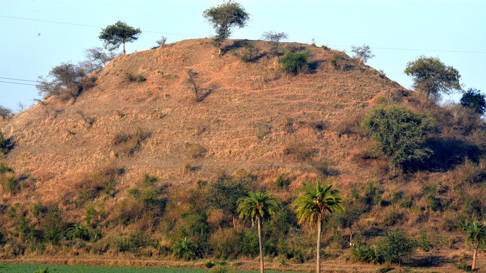 ‘Ashoka-era stupa, bigger than Sanchi’: 90 years on, Ujjain mound comes under renewed focus