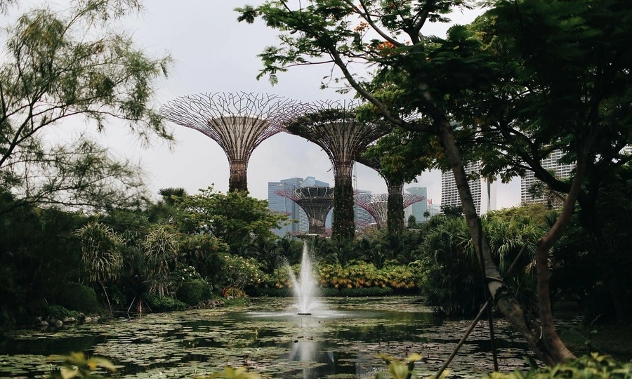 World's second richest country strives to preserve essential green spaces