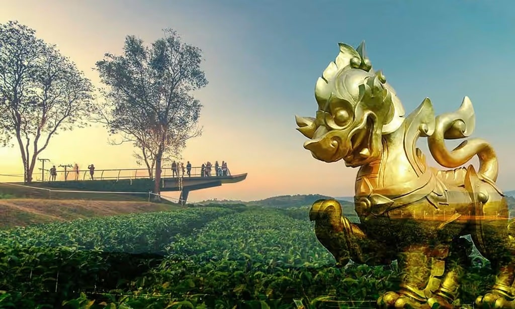 Singha Park Chiang Rai: Guide to Attractions & Events