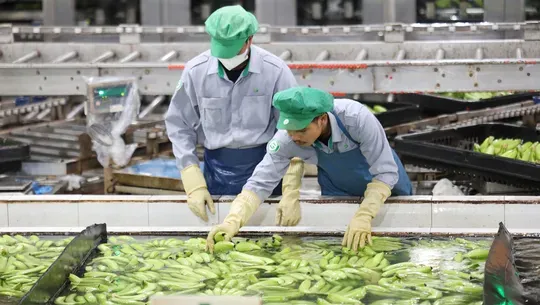 Vietnam eyes double-digit growth on FDI, investment