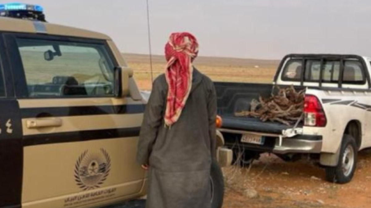 Saudi man arrested for transporting local firewood in Imam Turki bin Abdullah Reserve