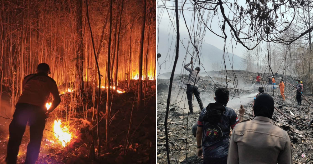 Borneo residents take Indonesian govt to court, claim negligence in handling of forest fires causing haze