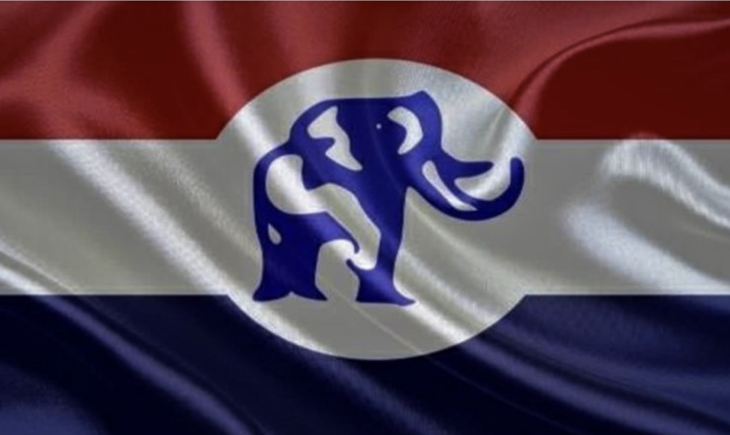 NPP warns aspirants premature campaigning could jeopardise eligibility for primaries